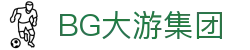 BG大游(集团)唯一官方网站